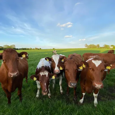 Kapitänskajüte&ausguck *