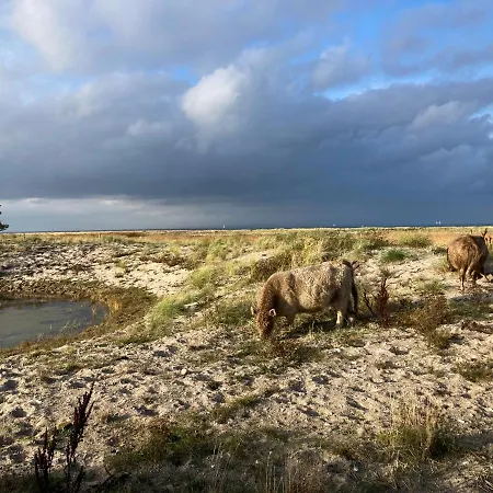 公寓 Kapitaenskajuete & Ausguck *