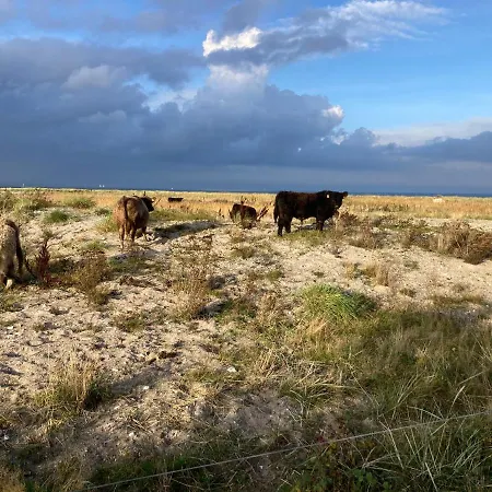 Kapitänskajüte&ausguck *