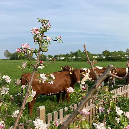 Kapitänskajüte&ausguck * Maasholm